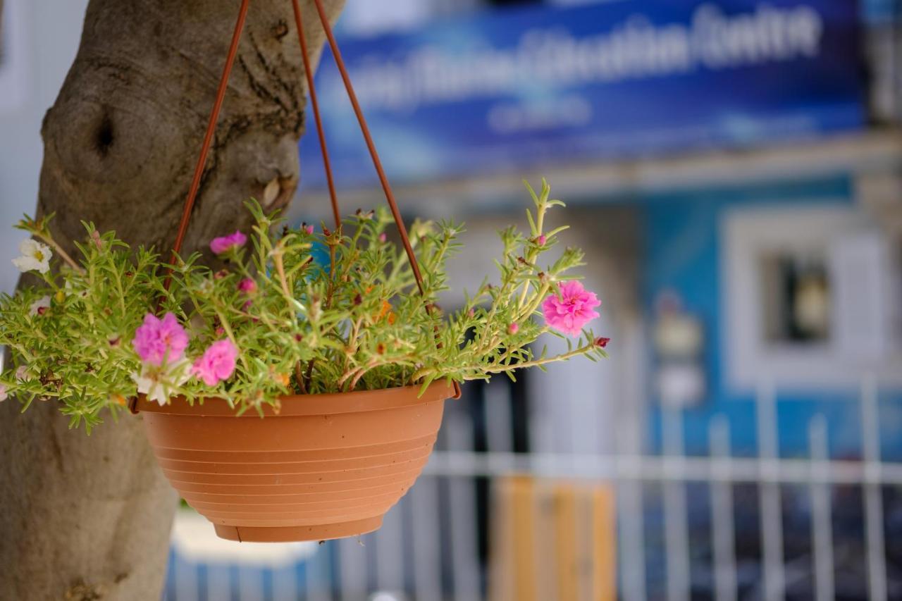 Hotel Vila Conte Veli Losinj Luaran gambar