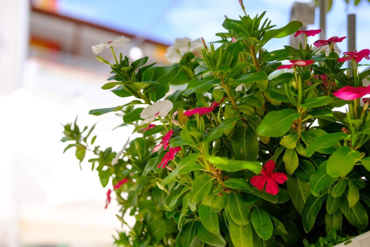 Hotel Vila Conte Veli Losinj Luaran gambar
